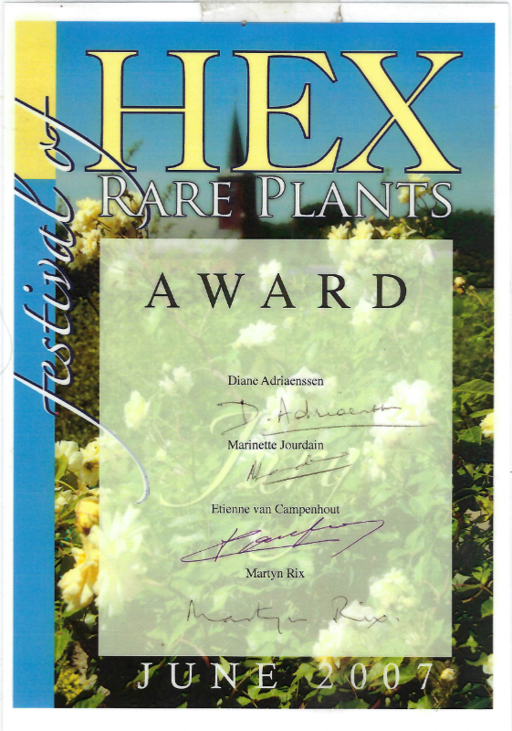 Award Hex June 2007